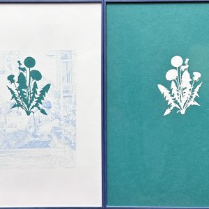 sala-pares-barcelona-carmen-alvar-taraxacum-officinale